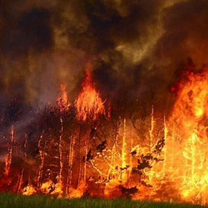 Актуальная карта пожарной опасности на лесные пожары